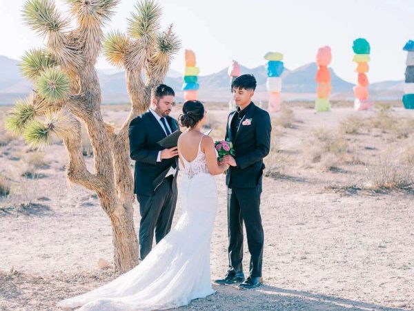 Seven Magic Mountains22